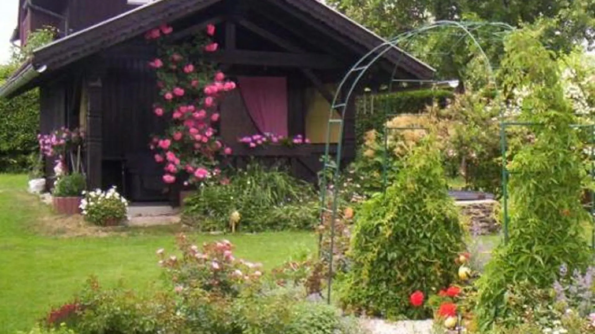 Apartment Ferienwohnung Gästehaus Anneliese Neuschönau